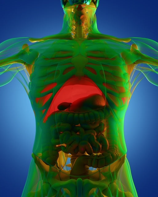 The Benefits of LIVER CLEANSING