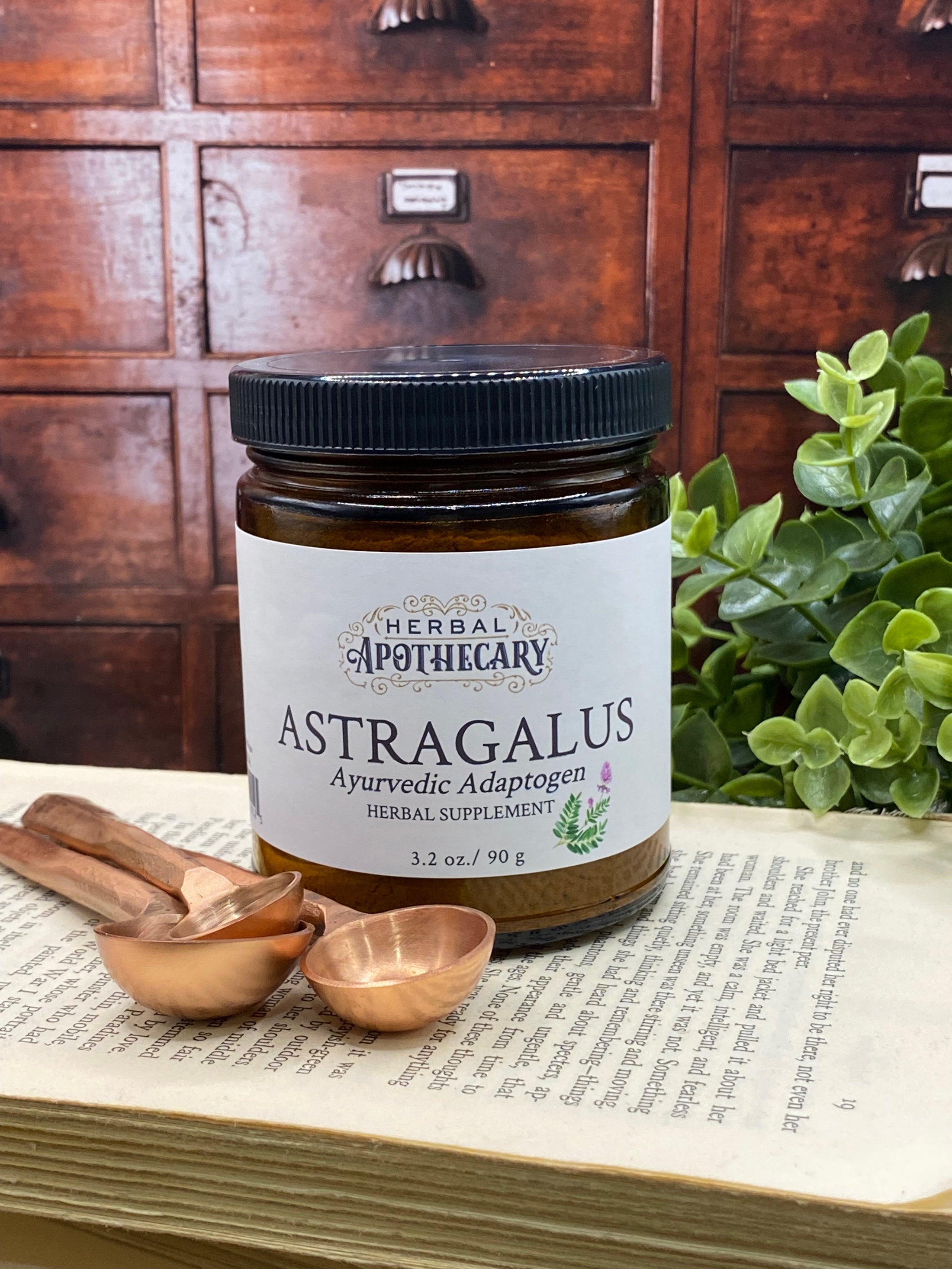 Astragalus (90g)