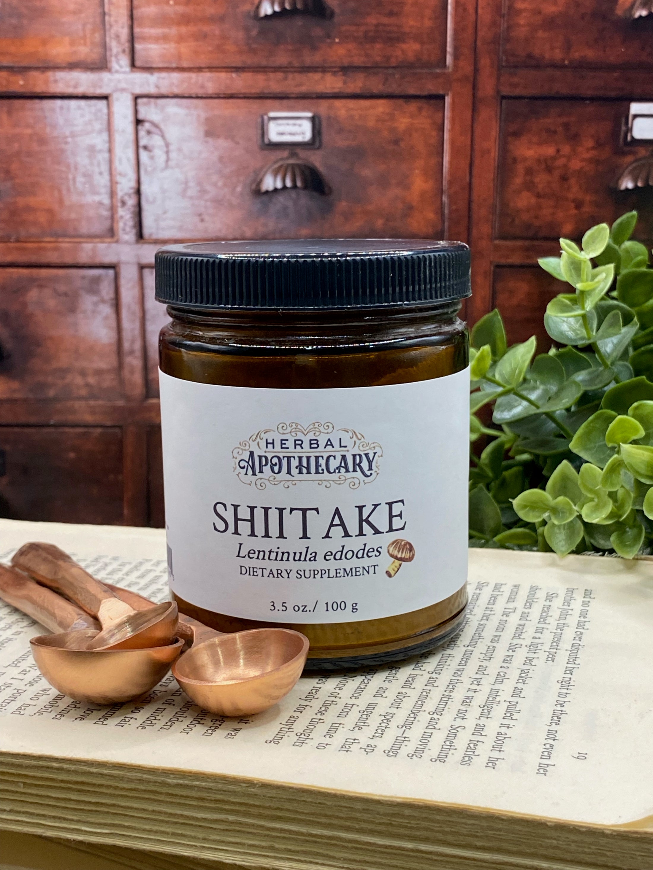 Shiitake (100g)