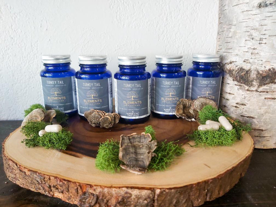 Turkey Tail - Veggie Capsules (40ct)