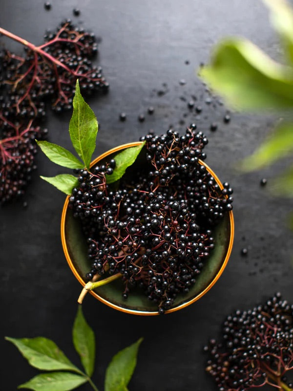 Does Elderberry Help With Sinus Infections?