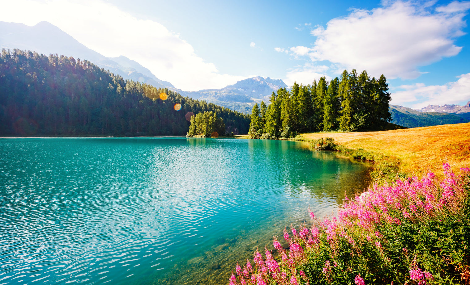 Seasonal Herbal Self-Care: Supporting Your Body Through the Changing Seasons