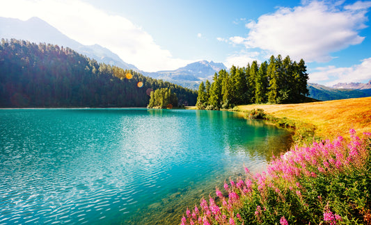Seasonal Herbal Self-Care: Supporting Your Body Through the Changing Seasons