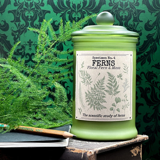 Ferns