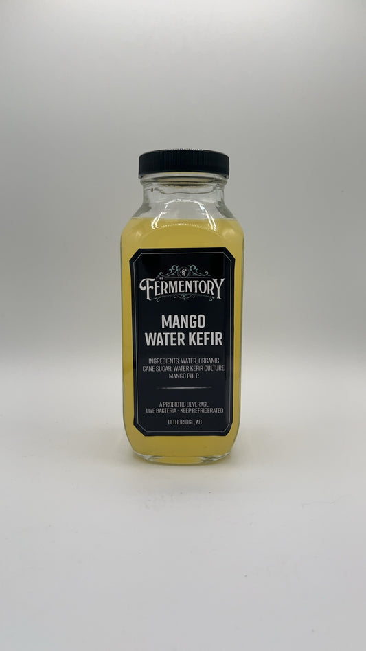 Water Kefir (Mango)