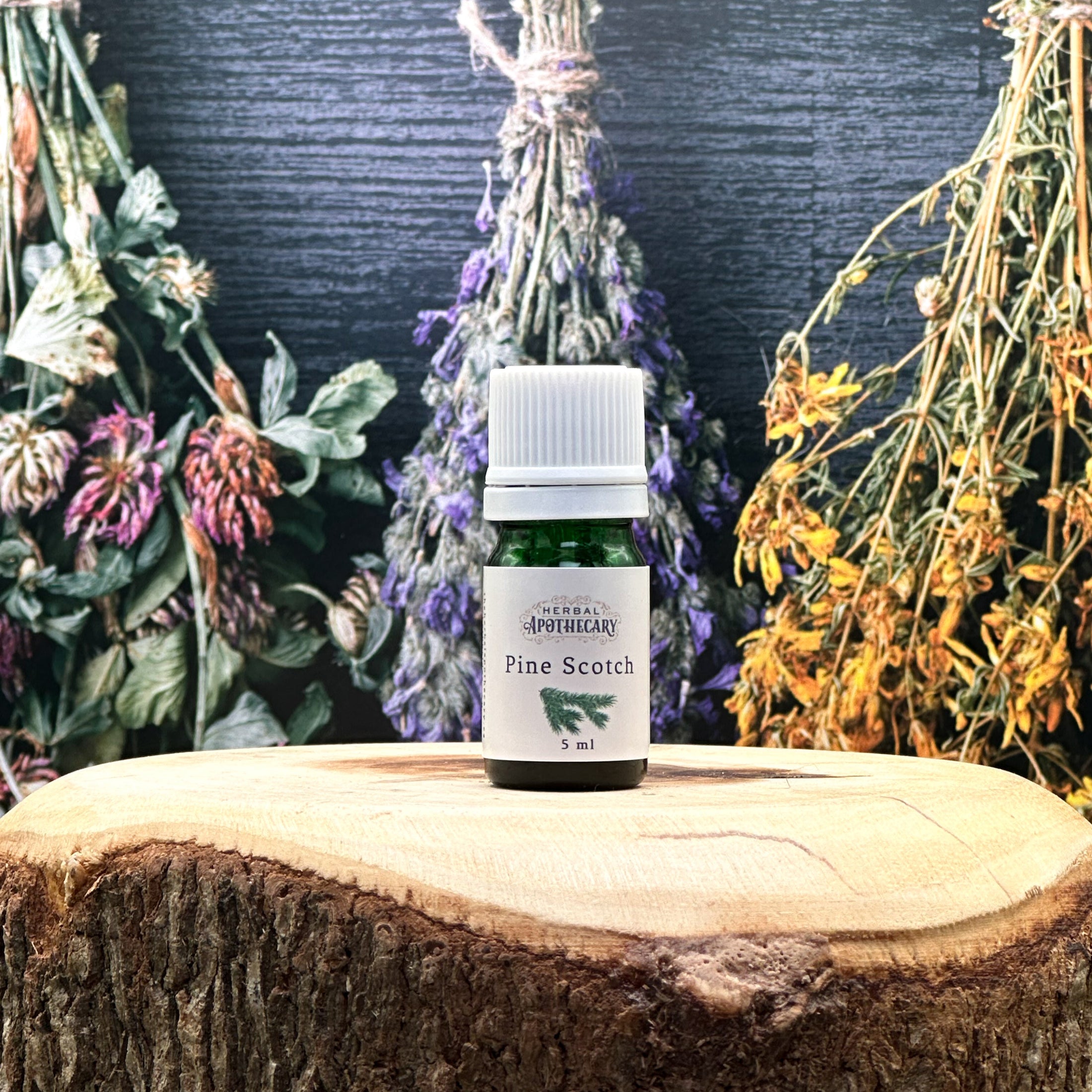 Pine, Scotch (5ml)