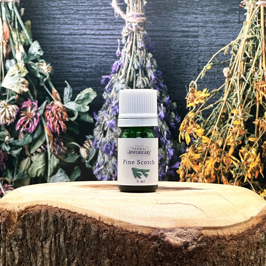 Pine, Scotch (5ml)