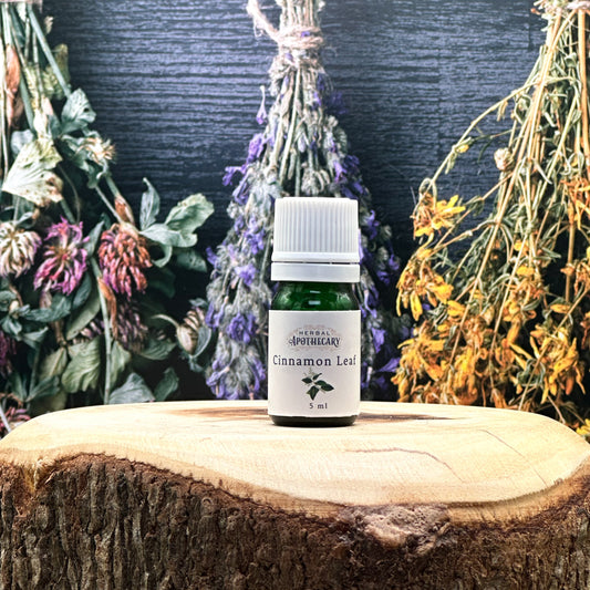 Cinnamon Leaf (5ml)