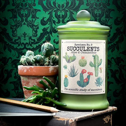 Succulents