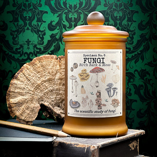 Fungi