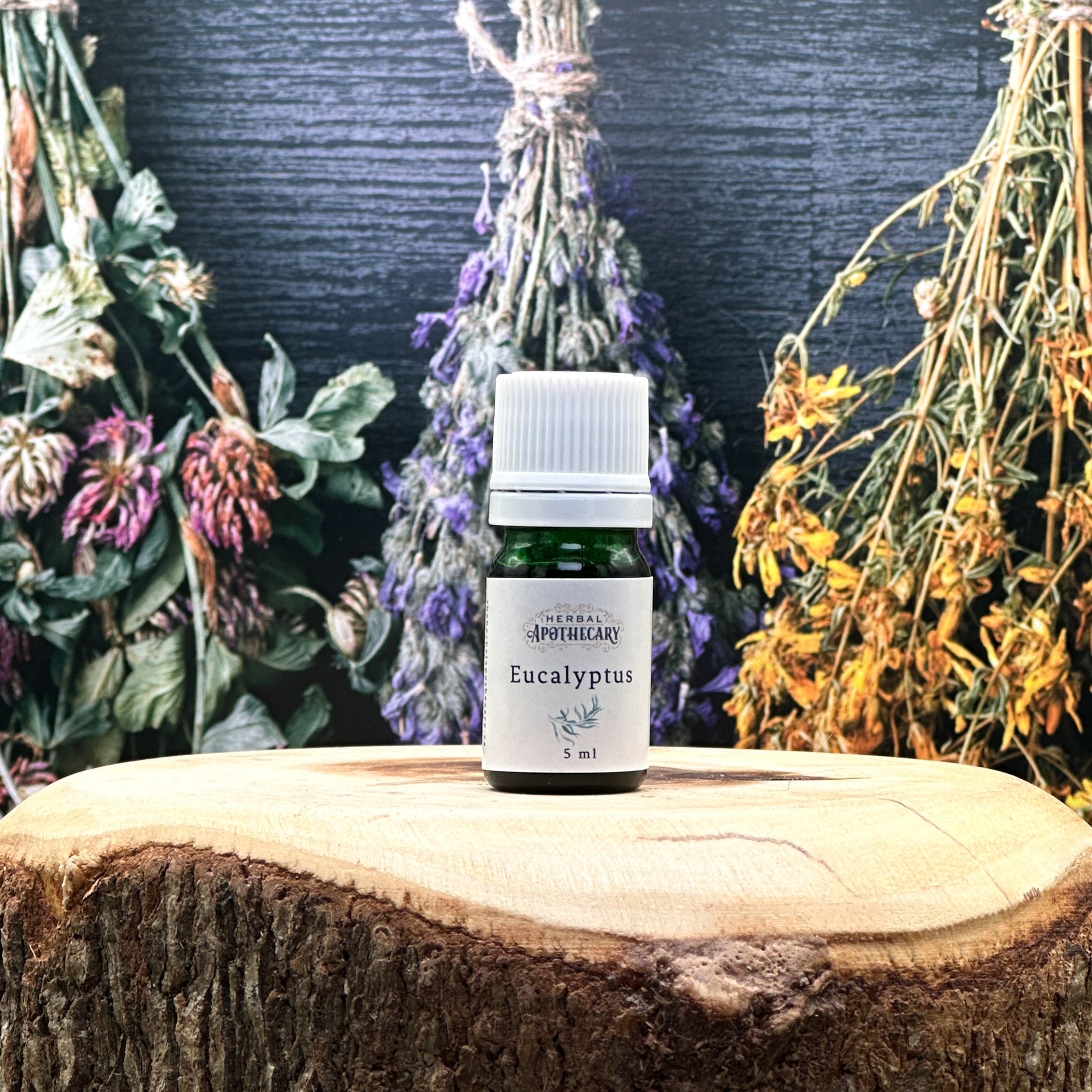 Eucalyptus (5ml)