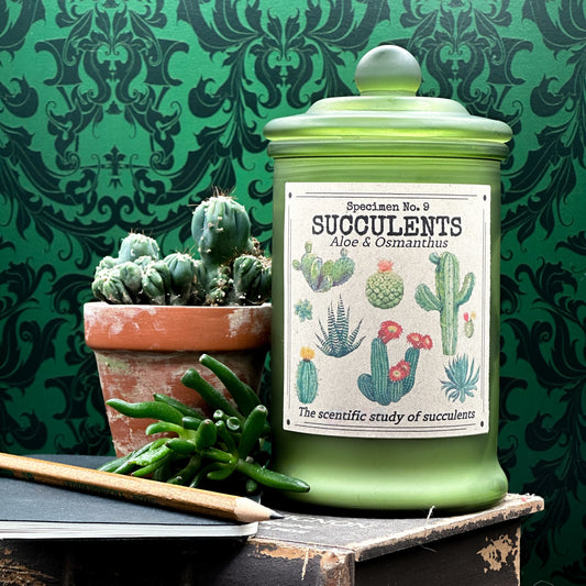 Succulents
