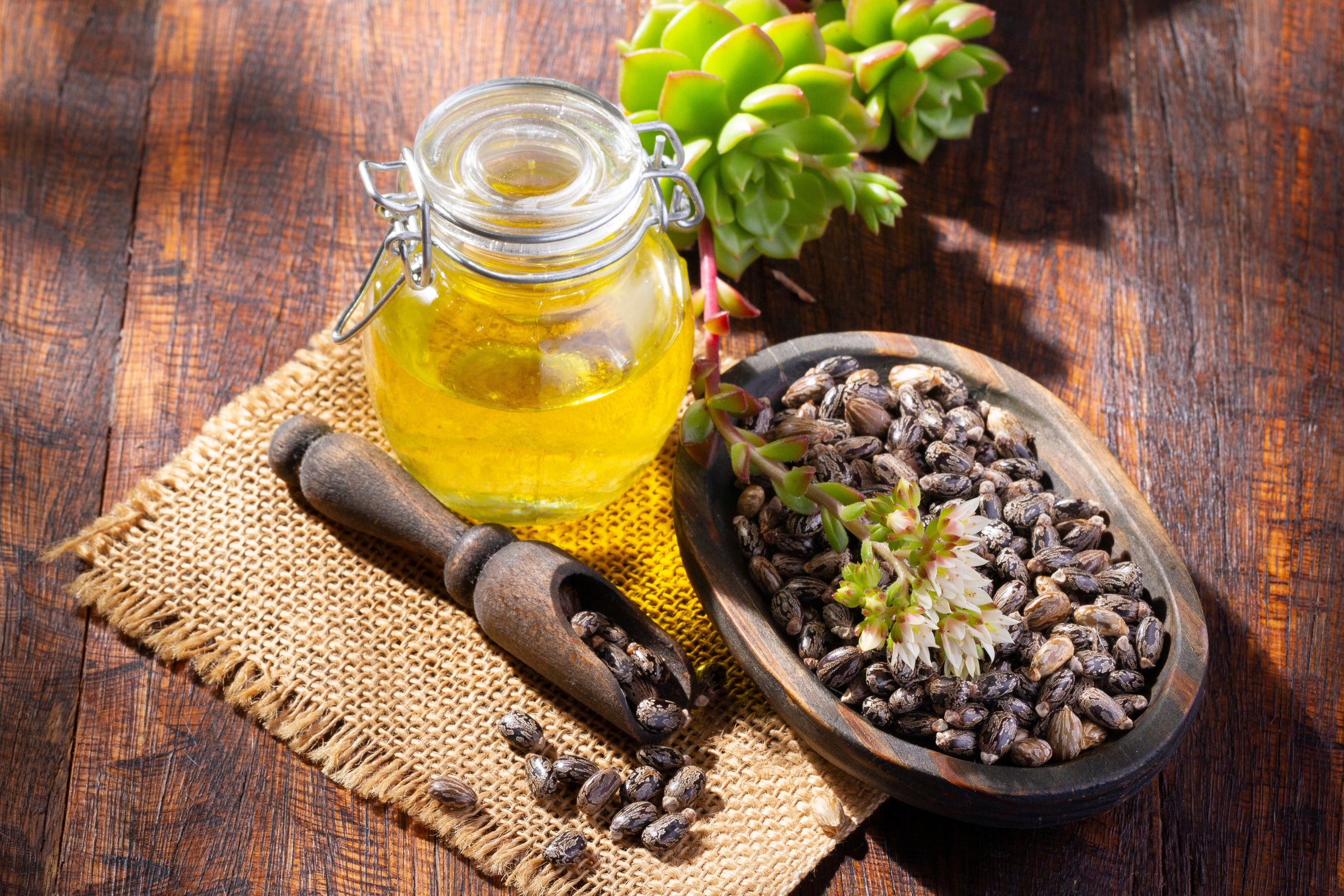 Castor Oil (8oz)