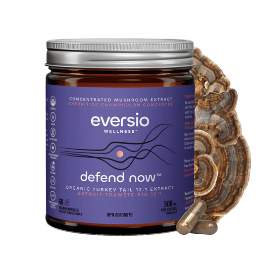 DEFEND Now - Organic Turkey Tail 12:1 Extract Capsules