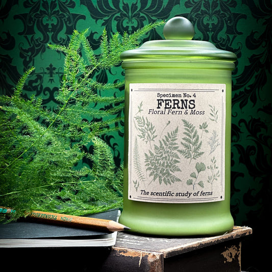 Ferns