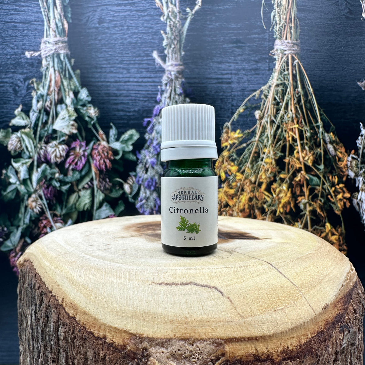Citronella