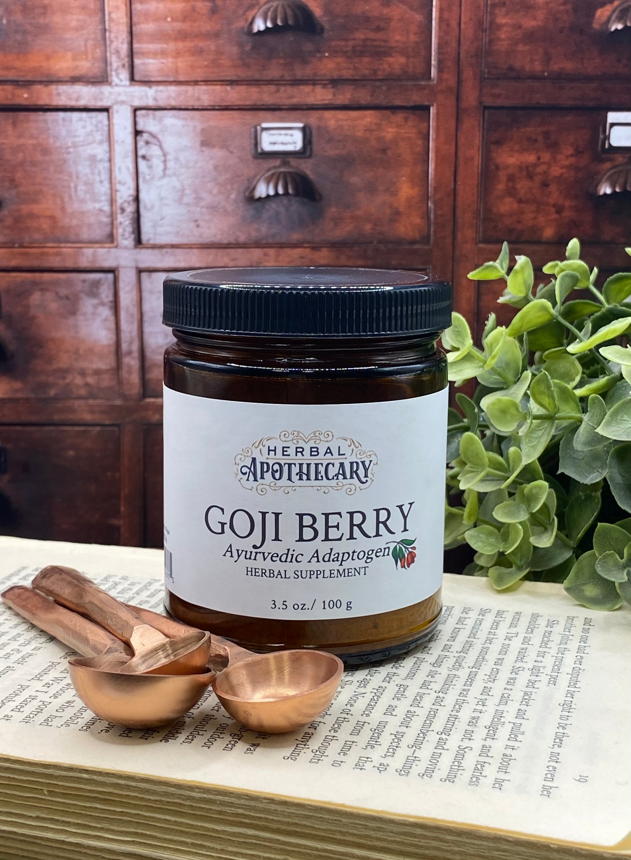 Goji Berry (100g)