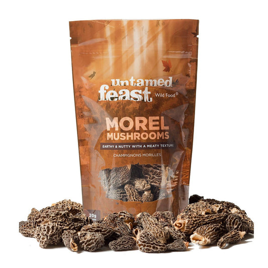 Morel Mushrooms (20g)