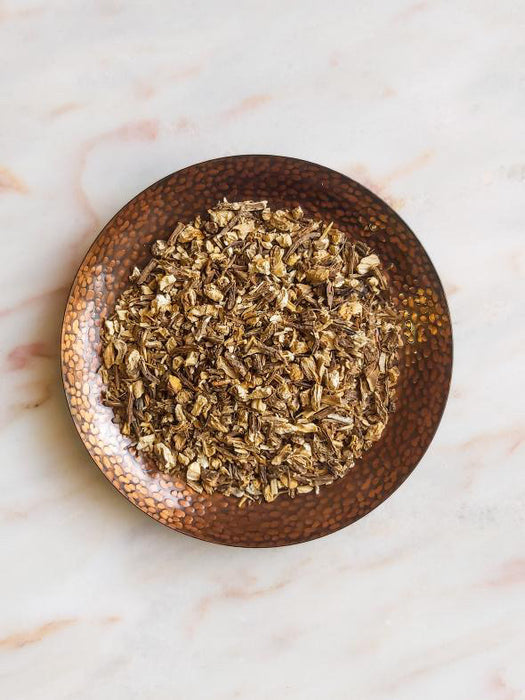 Angelica Root