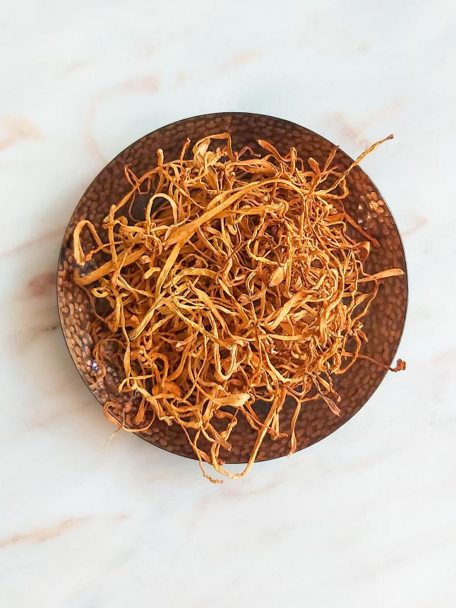 Cordyceps